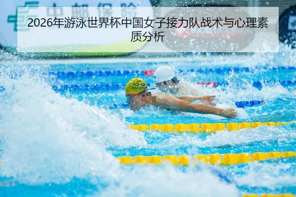 2026年游泳世界杯中国女子接力队战术与心理素质分析