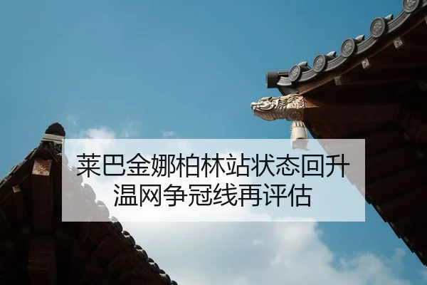 lai-ba-jin-na-bo-lin-zhan-zhuang-tai-hui-sheng-wen-wang-zheng-guan-xian-zai-ping-gu-2-847.jpg
